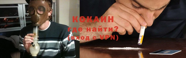твердый Алексин