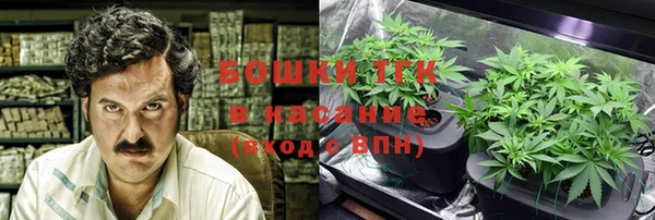 мдпв Осинники