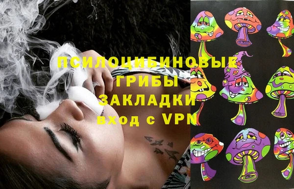 твердый Алексин
